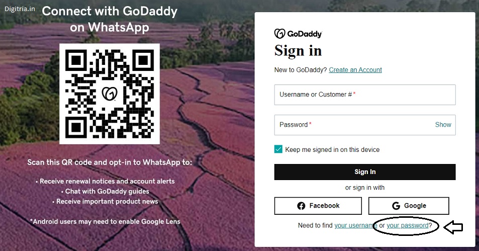 Reset password page of the Godaddy email login